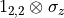 1_{2,2}\otimes\sigma_{z}