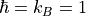 \hbar = k_{B} = 1