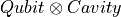 Qubit\otimes Cavity